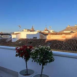 https://atico-con-terraza-en-el-corazon-de-mlaga.es-andalucia.com